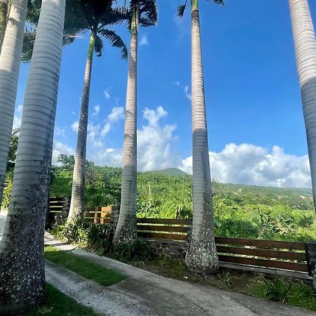 Grande Villa Au Calme - Vue Exceptionnelle - Climatisation - Piscine Sel Chauffee - Jardin Tropical Vincendo المظهر الخارجي الصورة