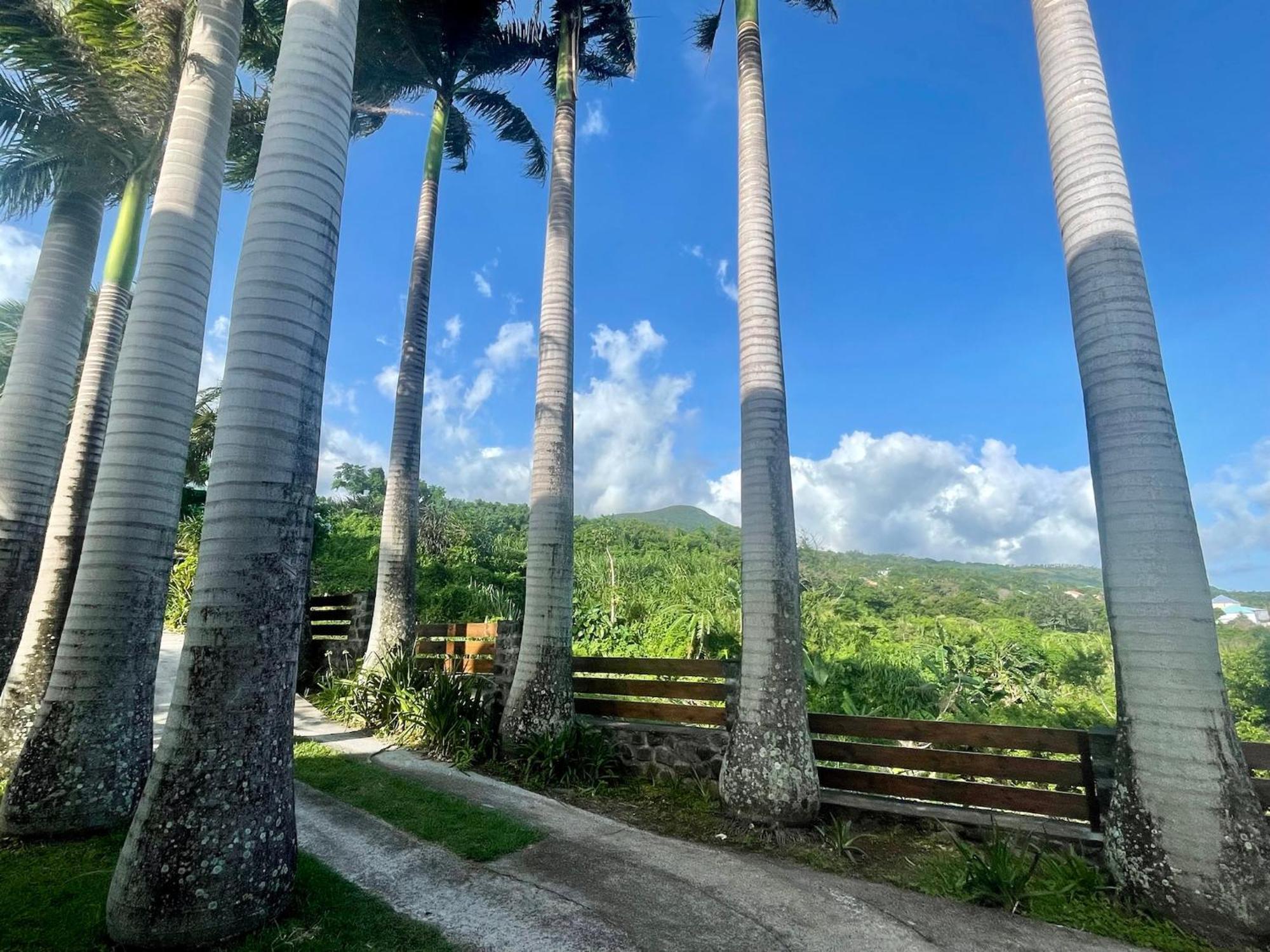 Grande Villa Au Calme - Vue Exceptionnelle - Climatisation - Piscine Sel Chauffee - Jardin Tropical Vincendo المظهر الخارجي الصورة