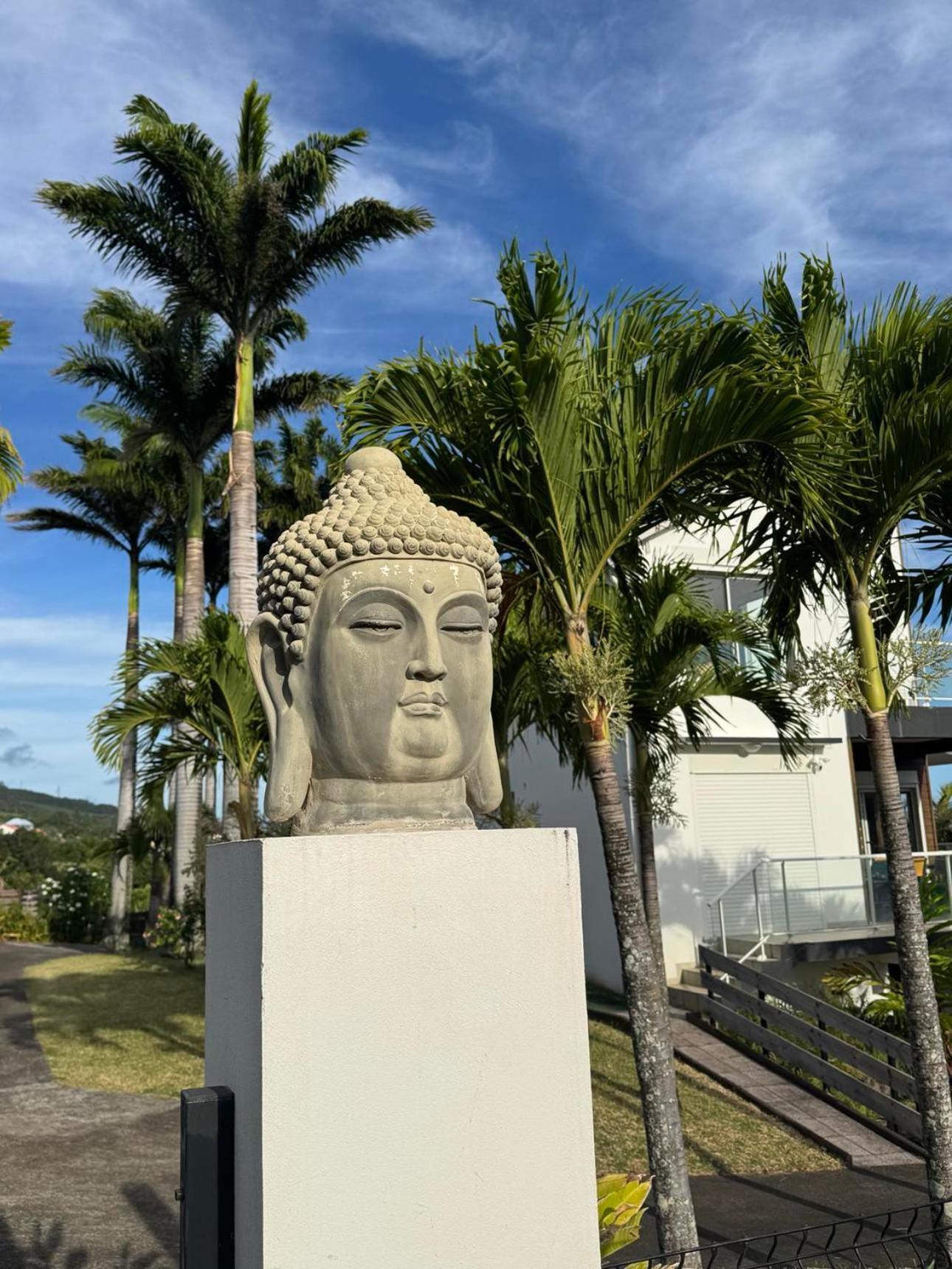 Grande Villa Au Calme - Vue Exceptionnelle - Climatisation - Piscine Sel Chauffee - Jardin Tropical Vincendo المظهر الخارجي الصورة